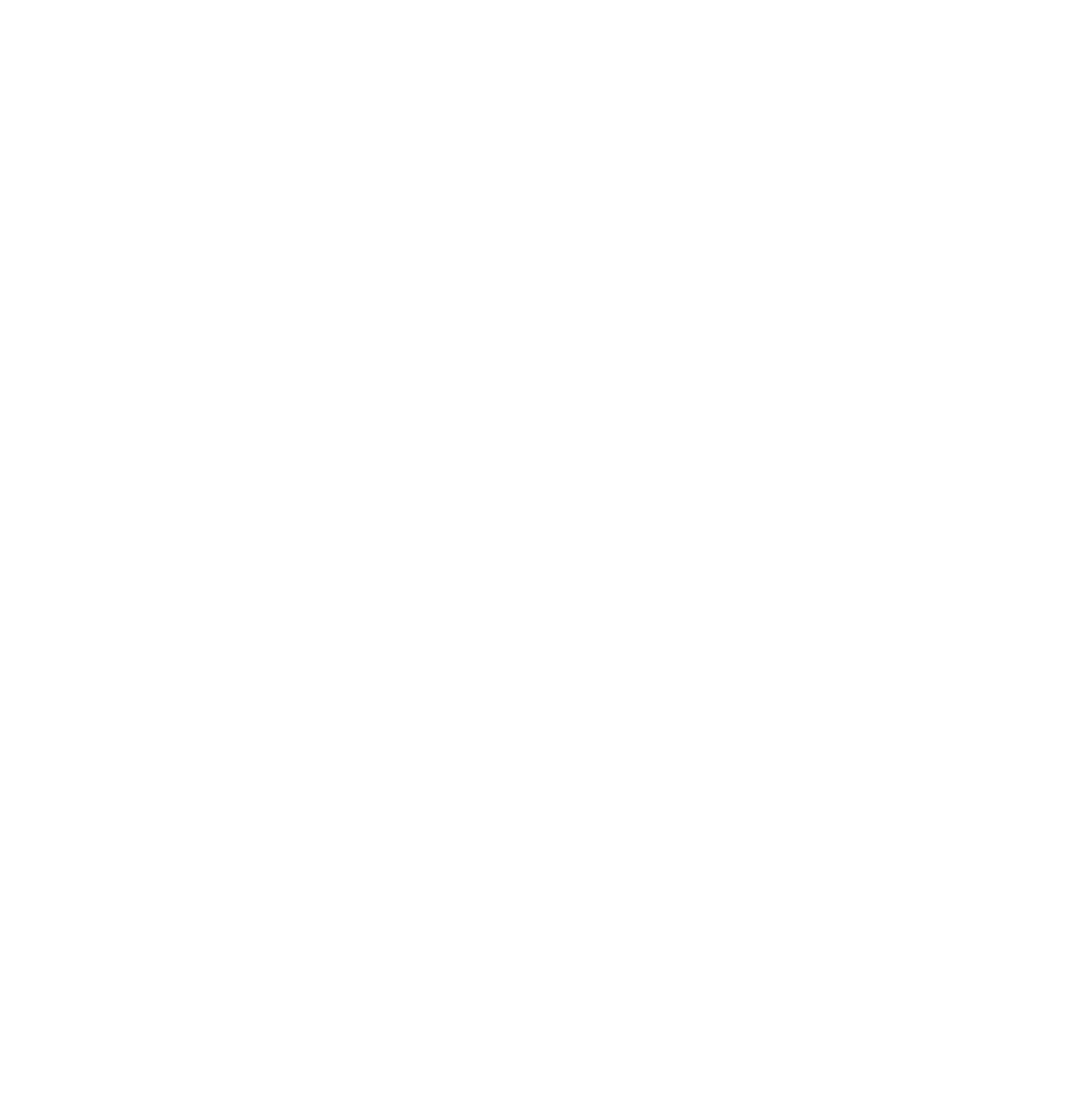 The Forecasting Company Logo